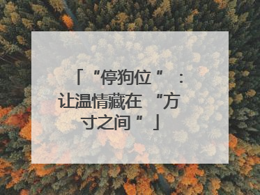 “停狗位 ”：让温情藏在 “方寸之间 ”
